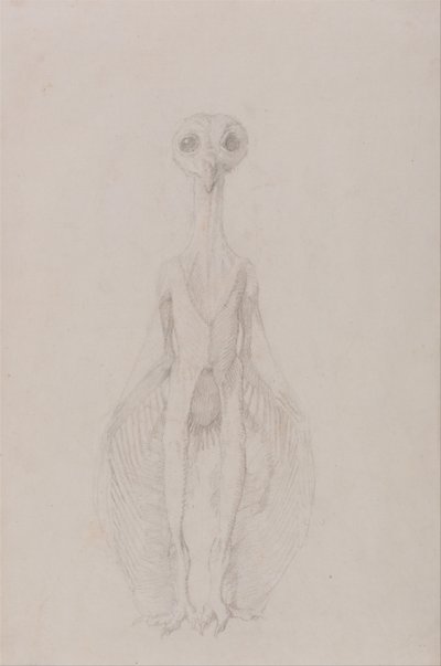 Vergleichende anatomische Darstellung der Struktur des menschlichen Körpers mit der eines Tigers und einer Kuh von George Stubbs